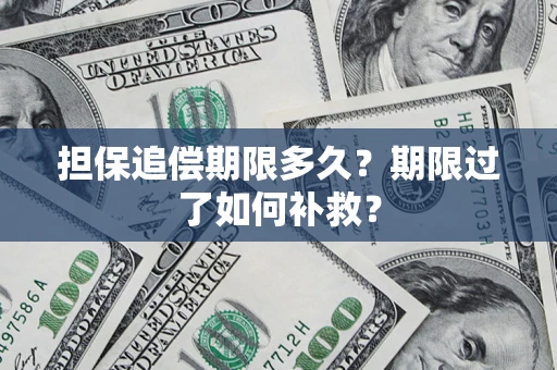 北京担保追偿期限多久？期限过了如何补救？