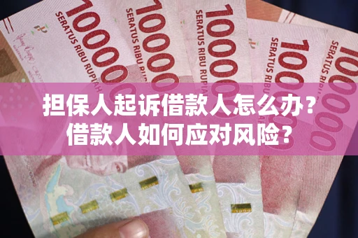 北京担保人起诉借款人怎么办？借款人如何应对风险？